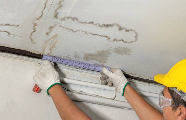 Reliable Water Damage Repair contractor in Arvada, CO by Aqua Guard Water Damage